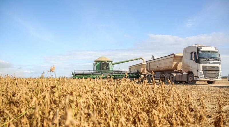 LCA O que é, Como Funciona e como Investir com Segurança